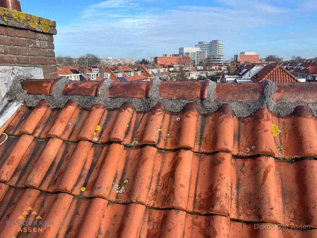 Assen Daken Renoveren
