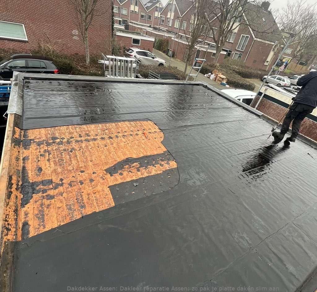 Dakleer Reparatie Assen