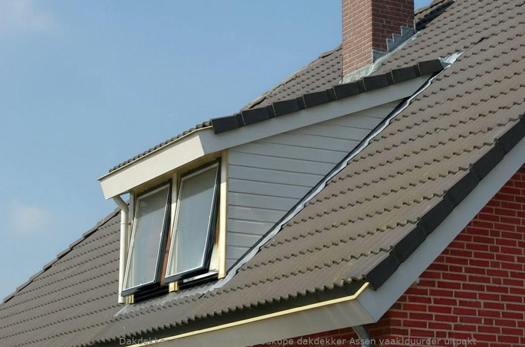 Goedkope Dakdekker Assen
