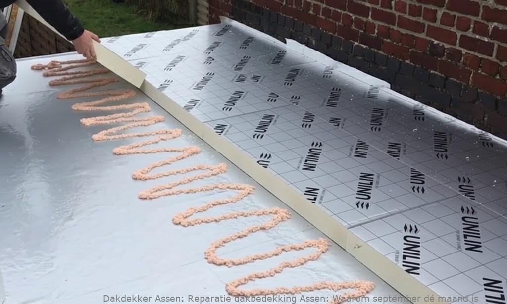 Reparatie Dakbedekking Assen