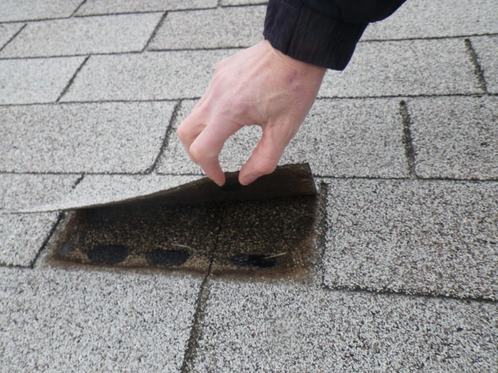 zelf-dak-inspecteren